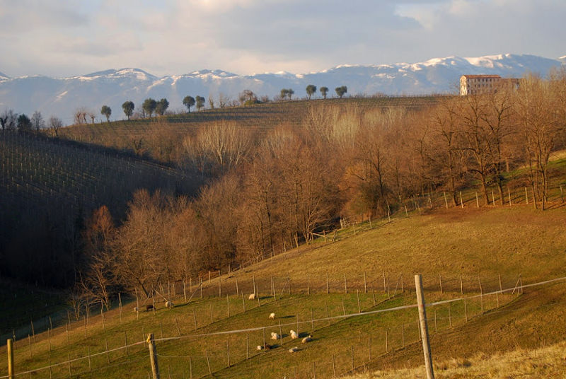 02.2015: Nadia Bellotto - conegliano (tv)