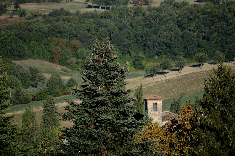 08.2016: Gianni - salsomaggiore terme (pr)