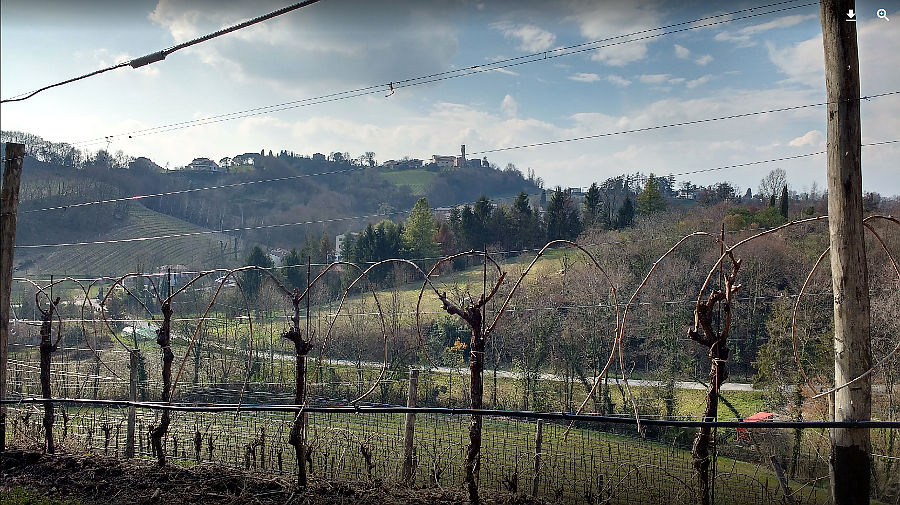 04.2018: Nadia Bellotto - conegliano (tv)