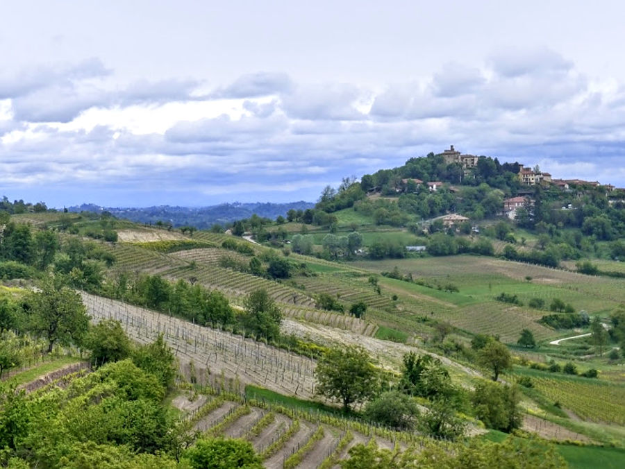 07.2018: Stefania Origlia - asti (at)