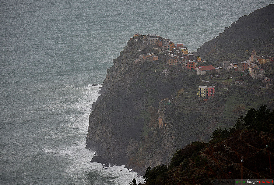 08.2023: Gianni - corniglia (sp)