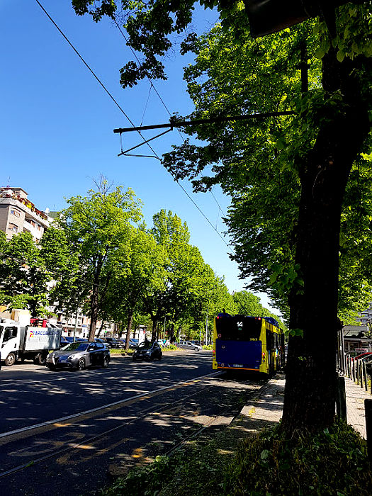 08.2023: Stefania Origlia - torino (to)