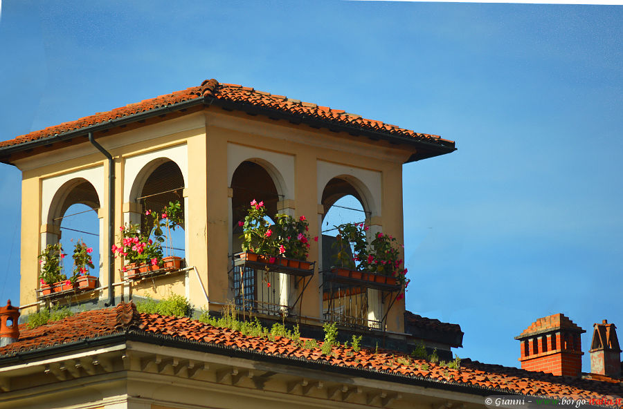 08.2025: Gianni - cremona (cr)