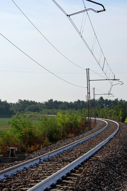 08.2015: Gianni - bersano (pc)