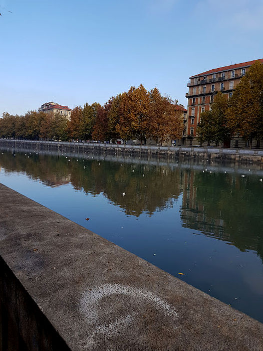 12.2022: Stefania Origlia - torino (to)