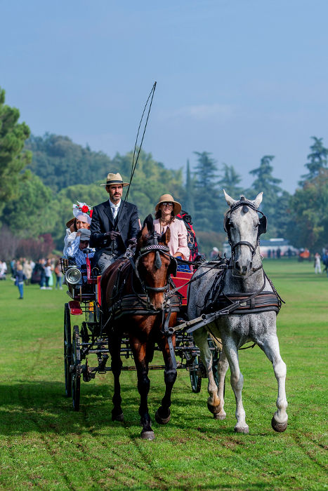 10.2019: Staff Sigurtà - valeggio sul mincio (vr)
