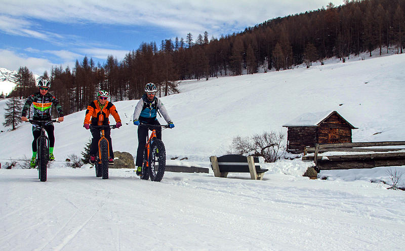 11.2014: Apt Livigno - livigno (so)