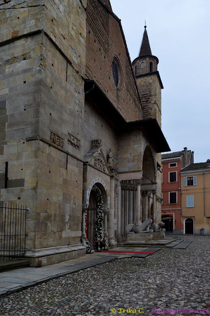 12.2015: Erika C - fidenza (pr)