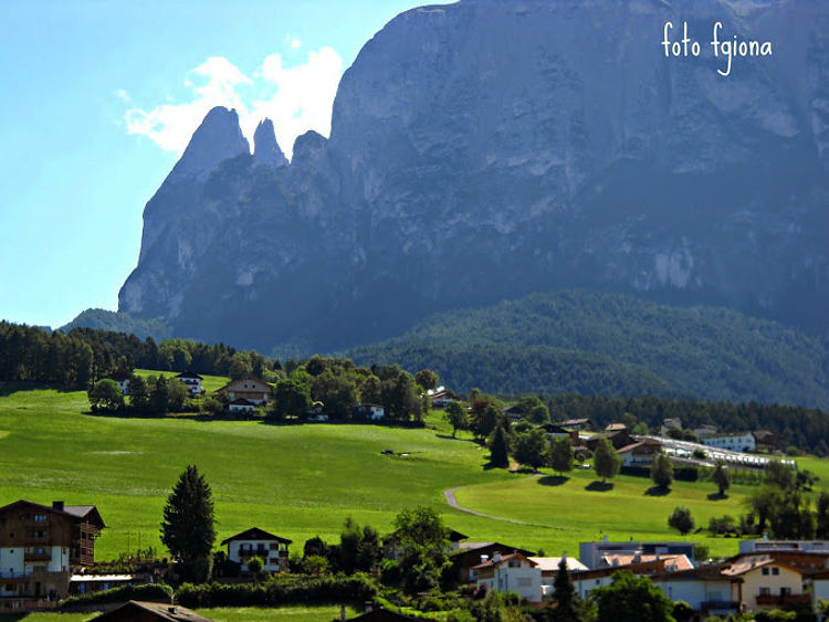 04.2014: Francesca Giona - fič (bz)