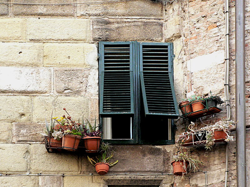 11.2016: Gianni - lucca (lu)