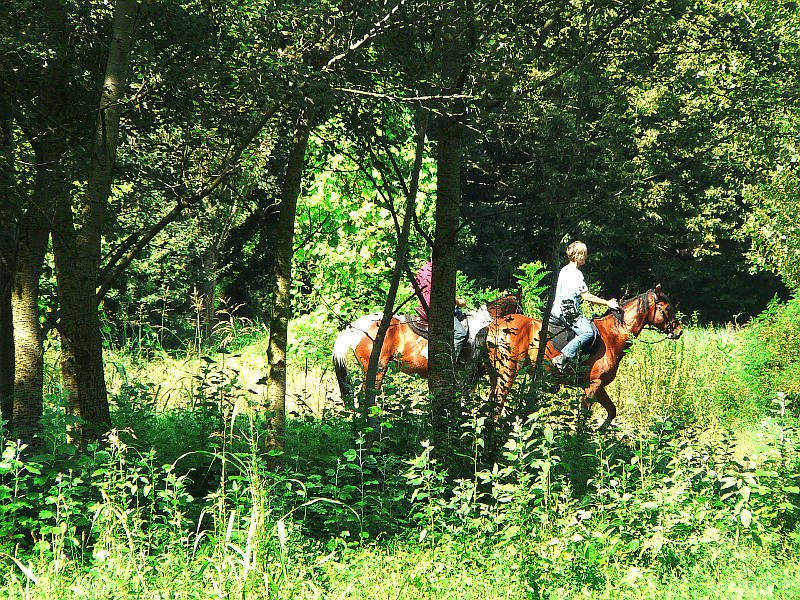08.2014: Gianni - polesine parmense (pr)