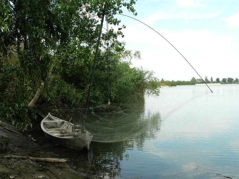 04.2014: Gianni - roccabianca (pr)