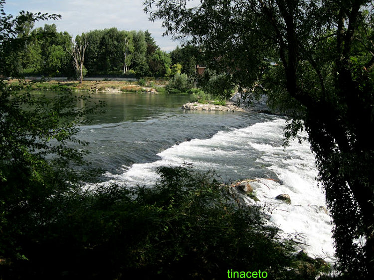 08.2015: Tina Aceto - lodi (lo)