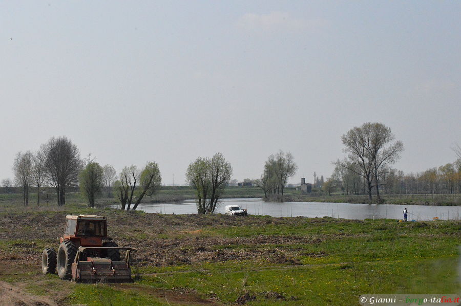 04.2018: Gianni - isola dovarese (cr)