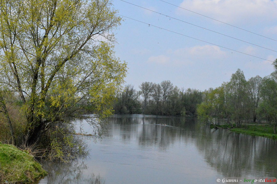 04.2018: Gianni - isola dovarese (cr)