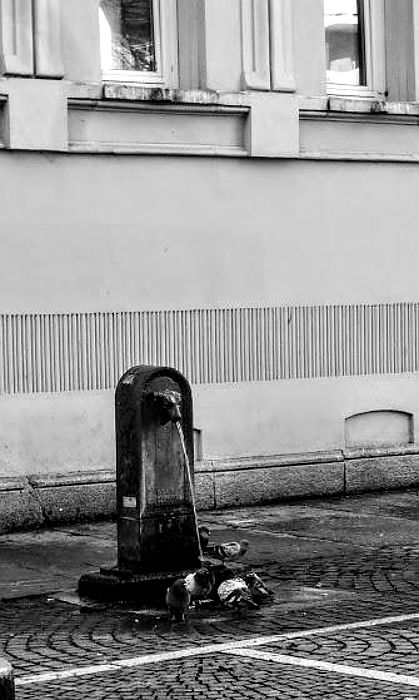 01.2020: Stefania Origlia - torino (to)