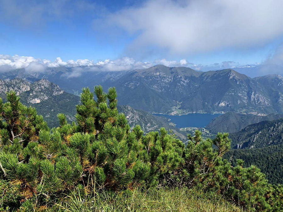 02.2020: Marina Daprelā - tremosine (bs)
