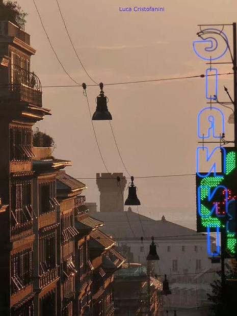 09.2014: Luca Cristofanini - genova (ge)