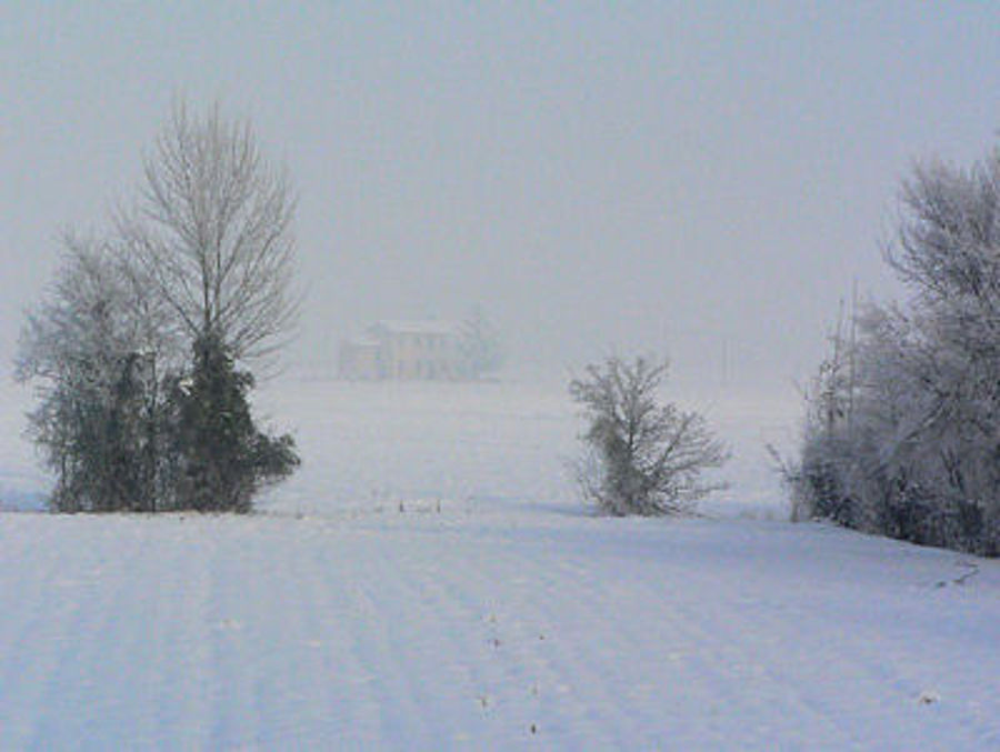 12.2009: Gianni - veneto pd