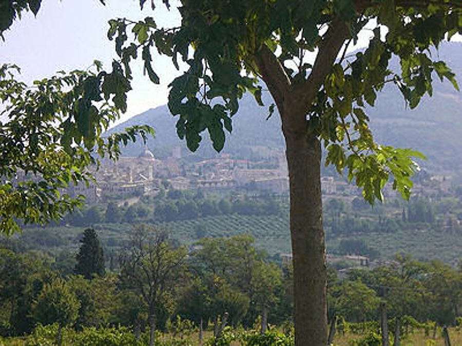 09.2009: Giulio Pettenò - assisi (pg)