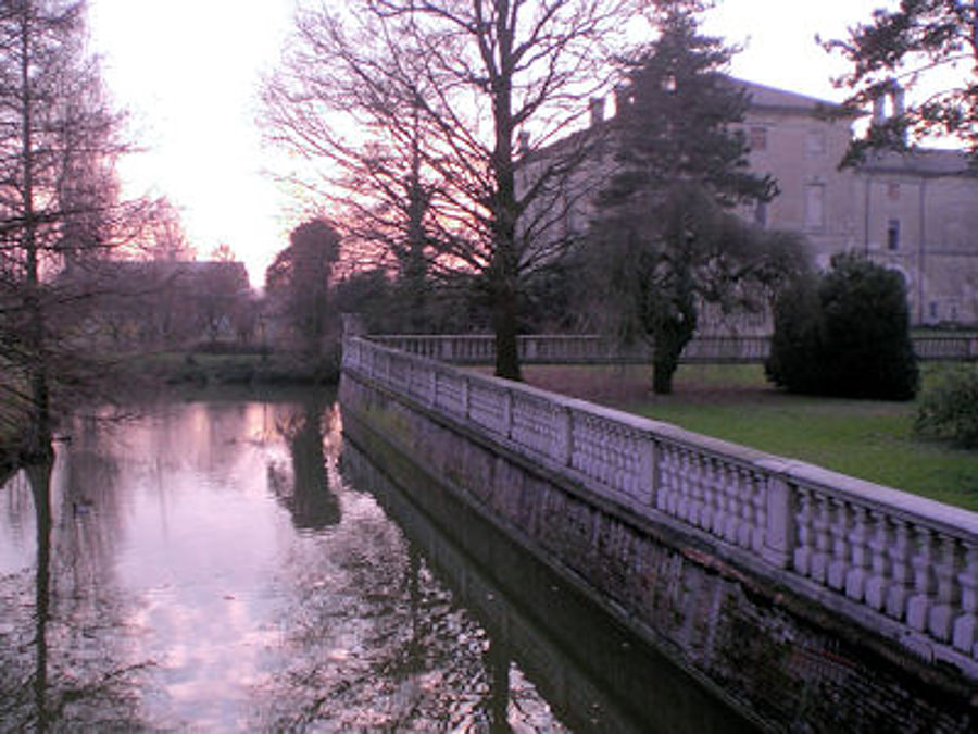 01.2009: Giulio Pettenò - busseto (pr)