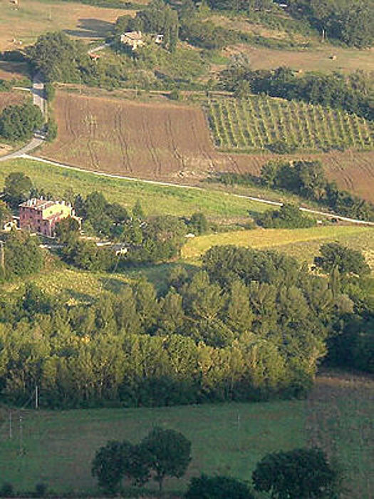 09.2009: Giulio Pettenò - città di castello (pg)