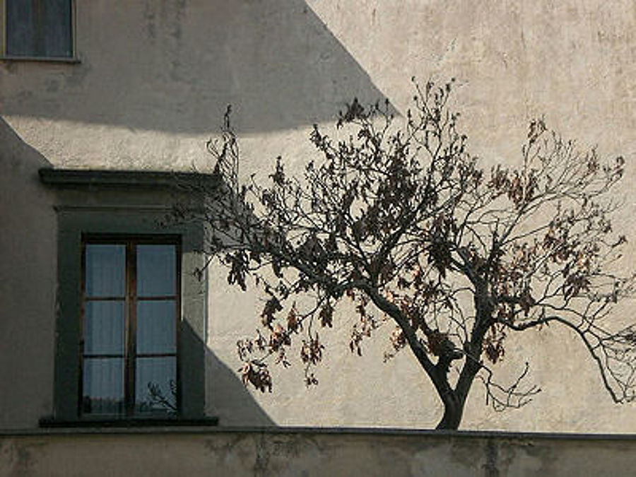09.2009: Giulio Pettenò - orvieto (tr)