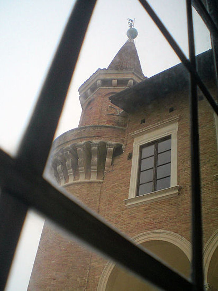 03.2011: Giulio Pettenò - urbino (pu)