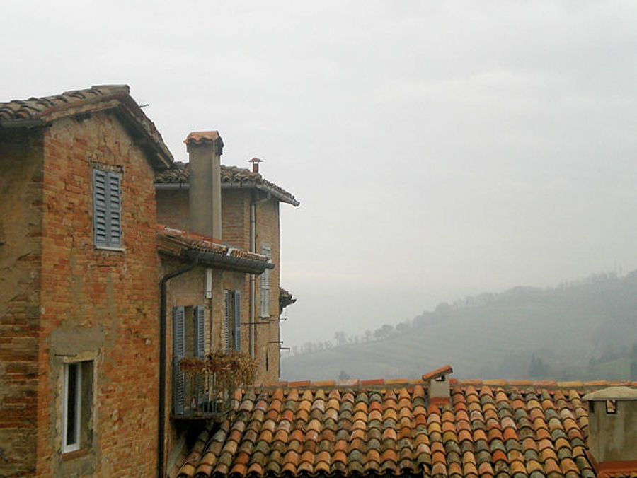 03.2011: Giulio Pettenò - urbino (pu)