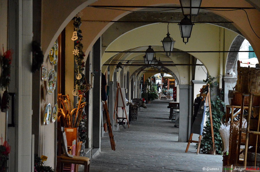 12.2019: Gianni - greve in chianti (fi)