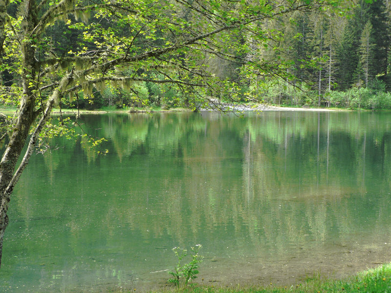 06.2013: Gianni - pellizzano (tn)