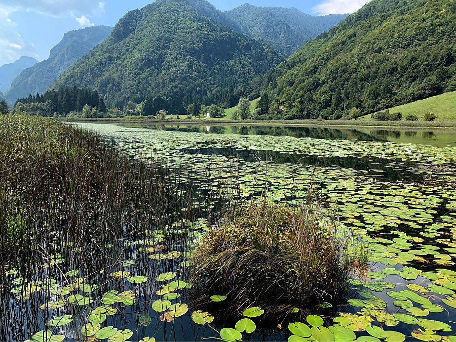 06.2020: Marina Daprelā - ledro (tn)