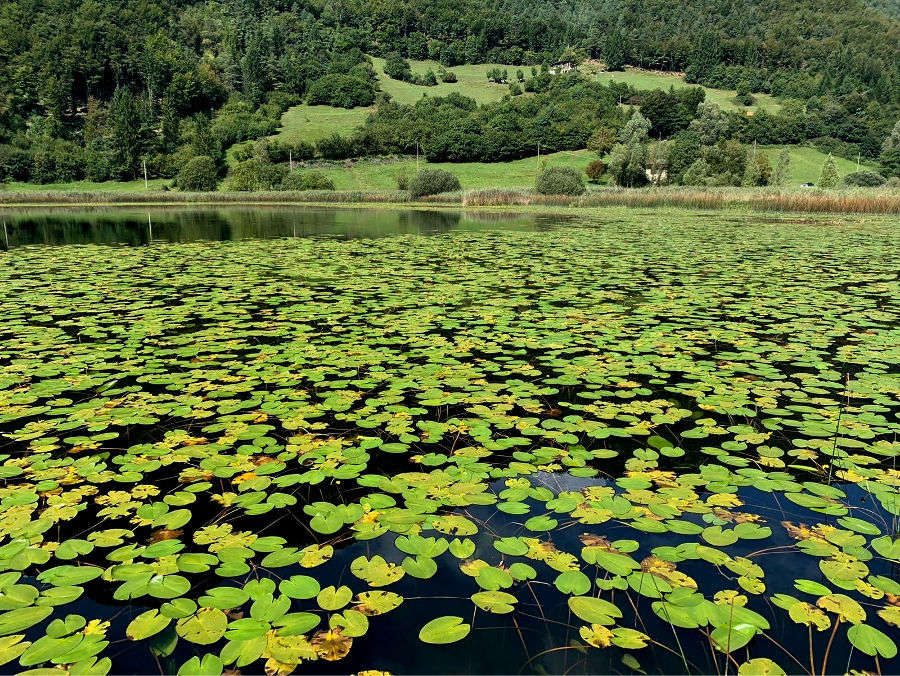06.2020: Marina Daprelā - ledro (tn)