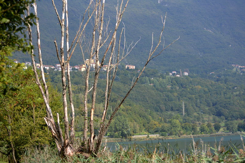 10.2015: Gianni - ranzanico (bg)