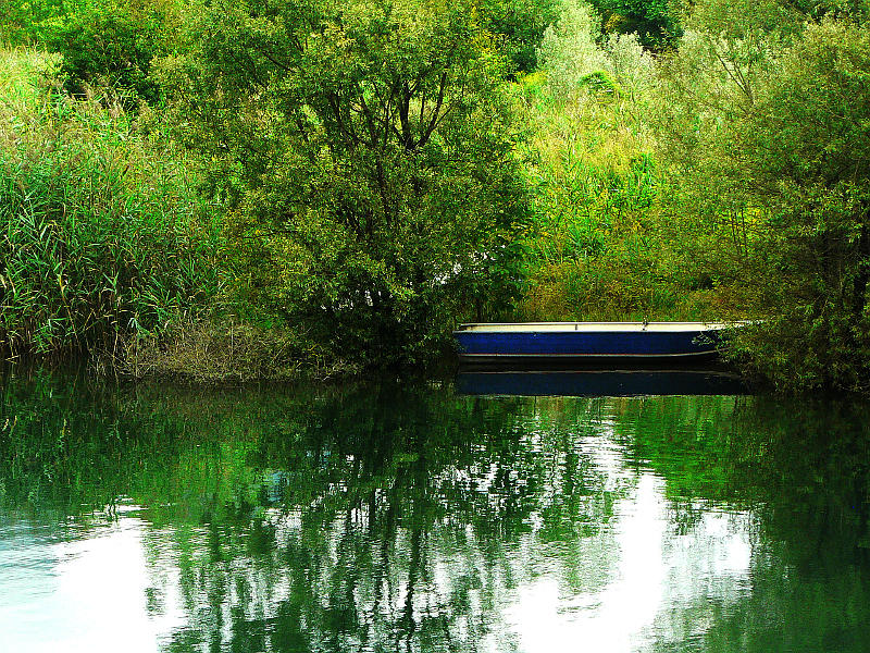 08.2014: Gianni - idro (bs)