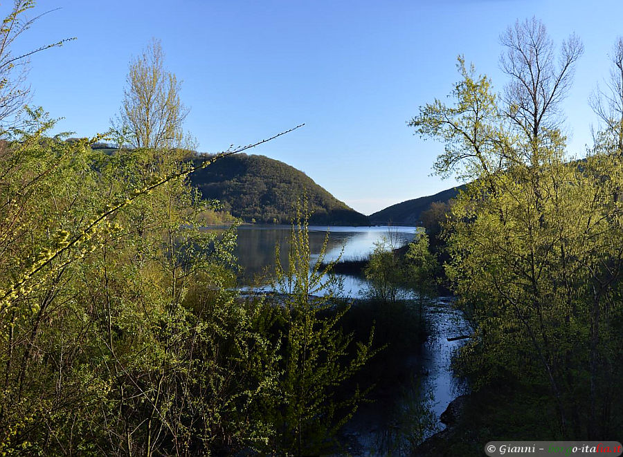 06.2018: Gianni - morfasso (pc)