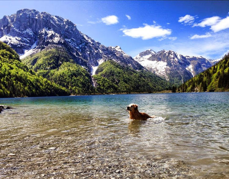 05.2014: Ciro Carrino - tarvisio (ud)