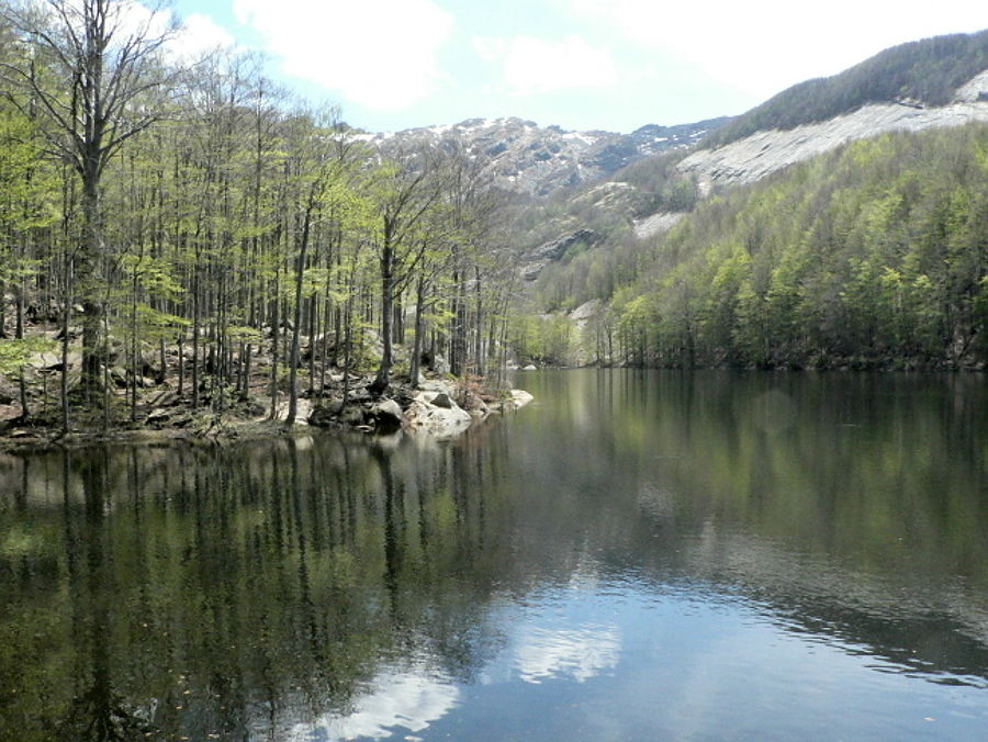 05.2012: Gianni - lagoni (pr)