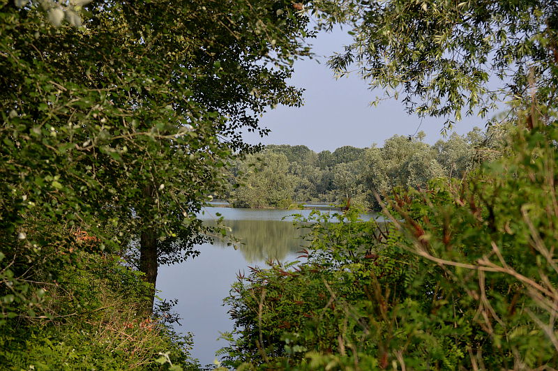08.2016: Gianni - polesine parmense (pr)