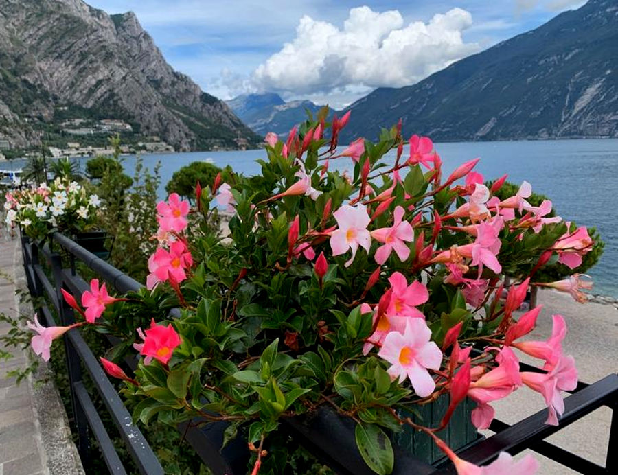 12.2019: Marina Daprelā - limone sul garda (bs)