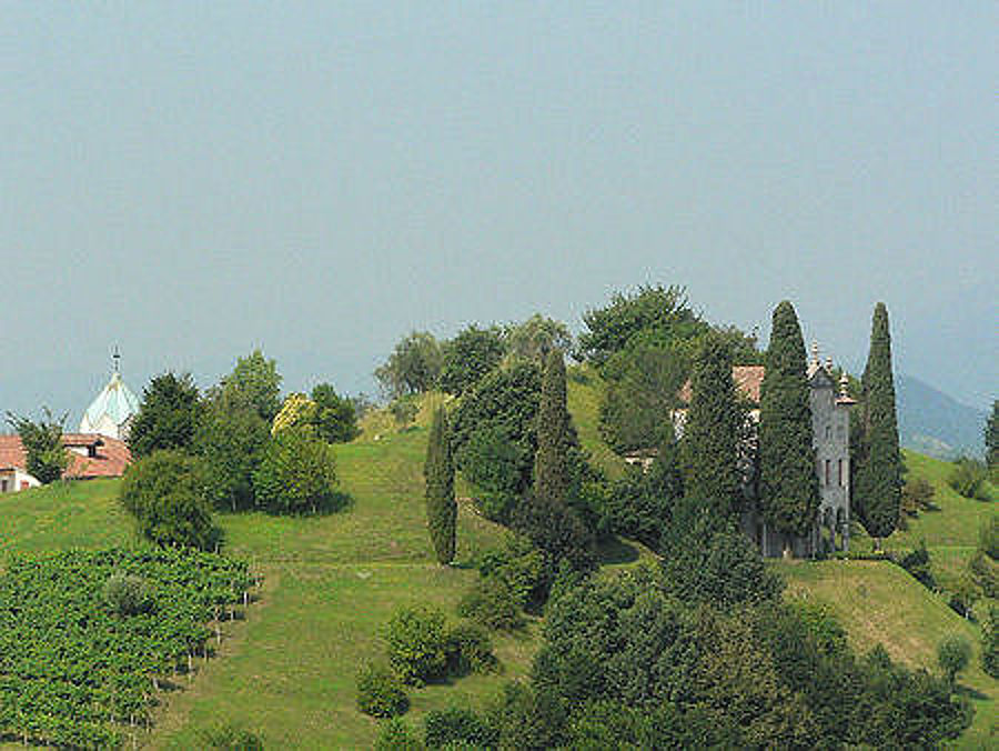 06.2010: Gianni - asolo (tv)