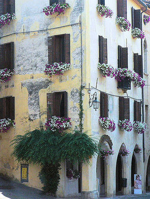 06.2010: Lina - asolo (tv)