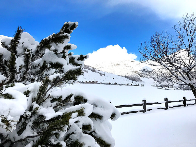 11.2016: Apt Livigno - livigno (so)