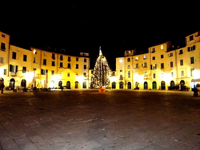 12.2015: Silvia Frediani - lucca (lu)