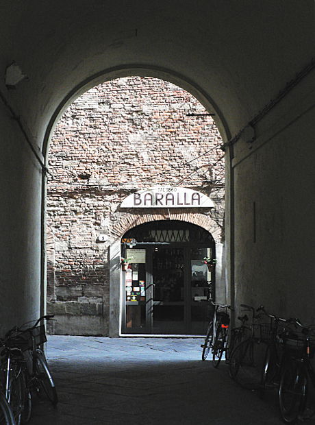 06.2015: Gianni - lucca (lu)