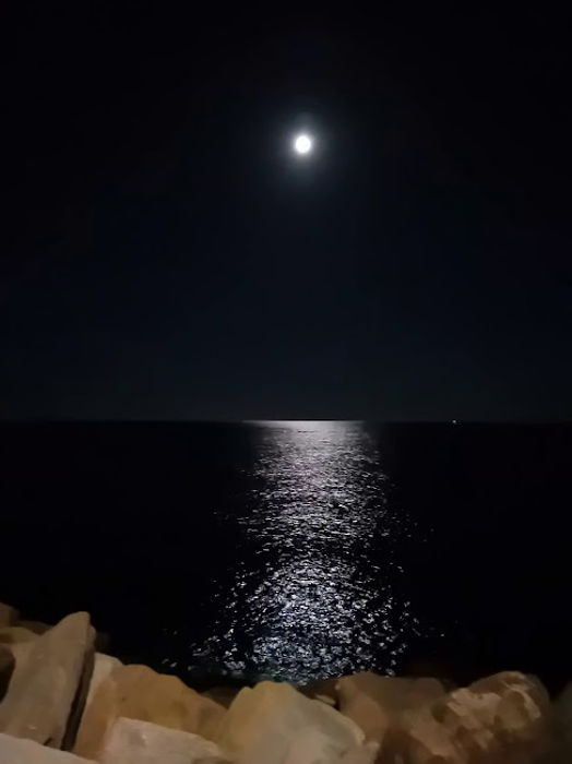 10.2025: Stefania Origlia - savona (sv)