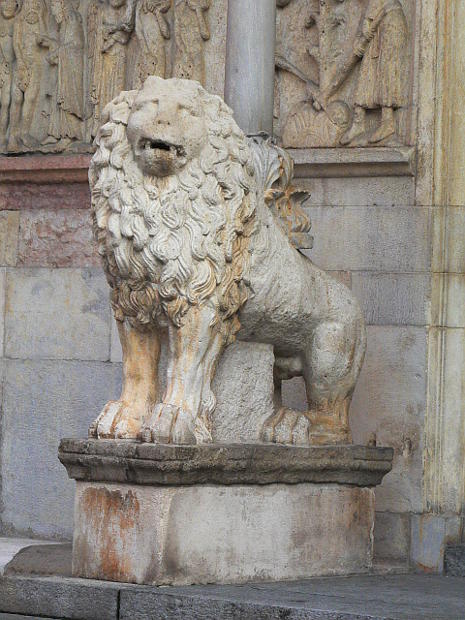 11.2014: Gianni - modena (mo)