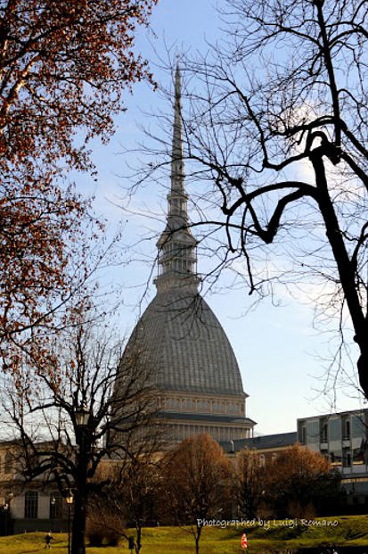 01.2014: Luigi Romano - torino (to)
