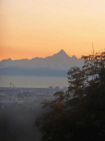 11.2014: Stefania Origlia - torino (to)