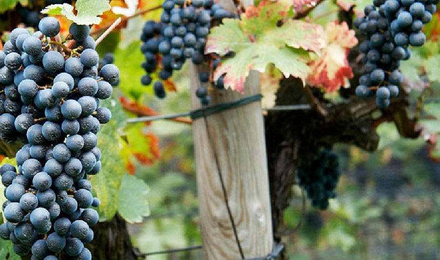 10.2012: Promoserio - scanzorosciate (bg)
